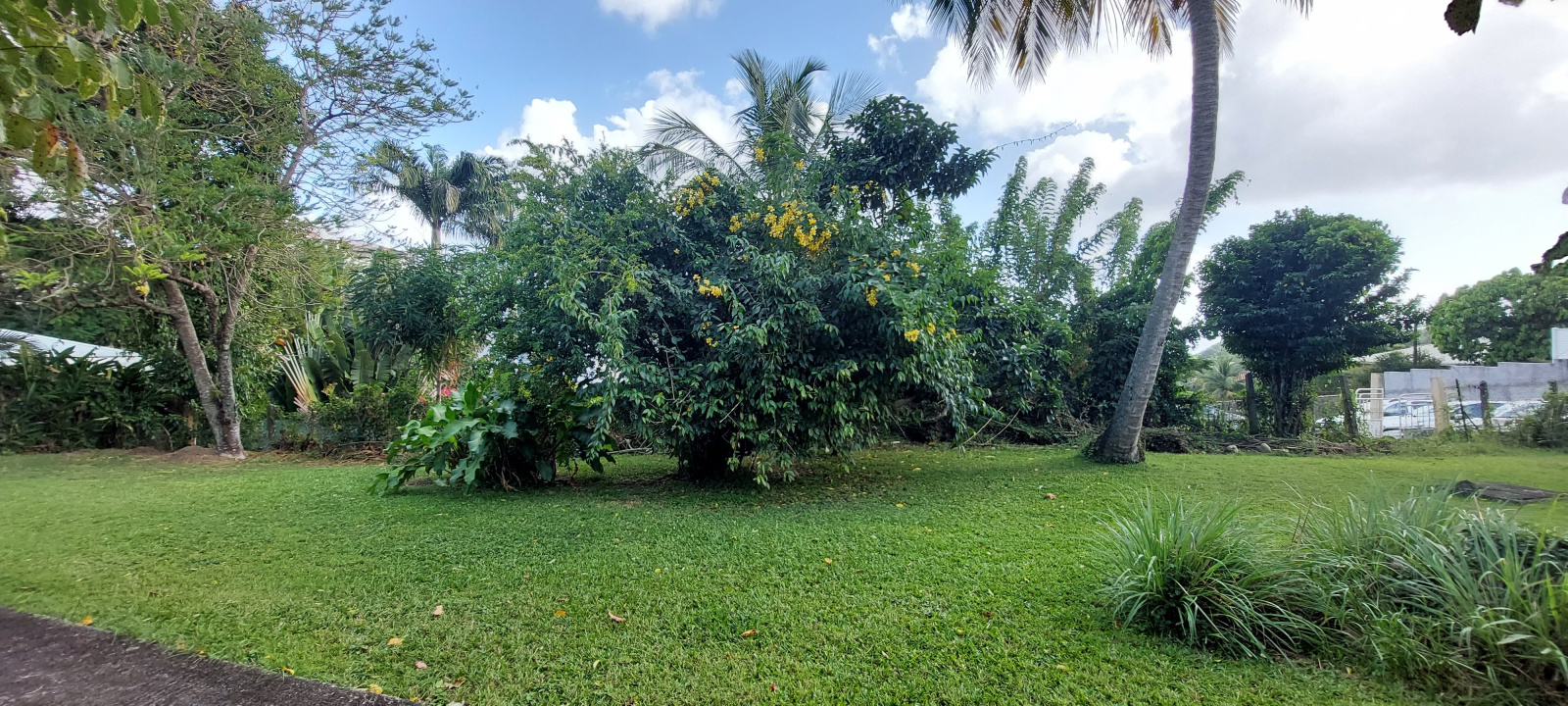 Image_, Propriete, Fort-de-France, ref :dimod