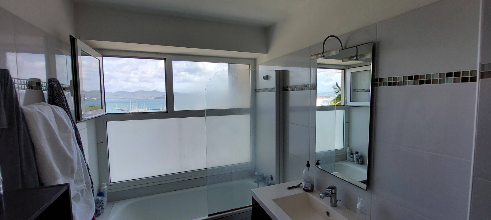 Image_, Duplex, Fort-de-France, ref :EZB